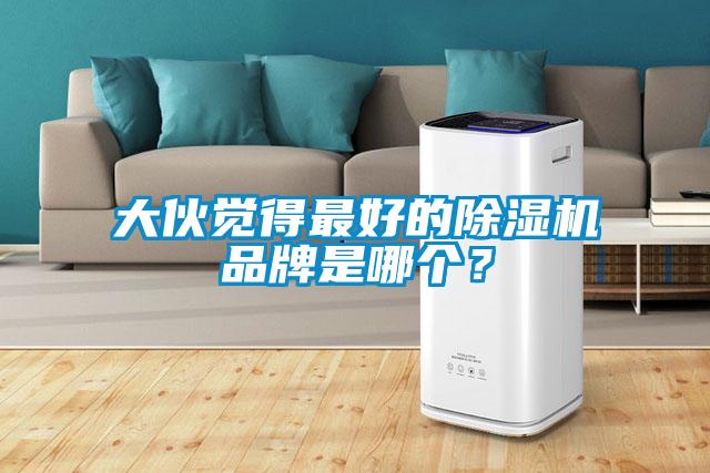 大伙覺得最好的除濕機(jī)品牌是哪個(gè)?