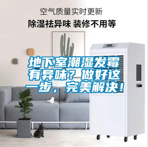 地下室潮濕發(fā)霉有異味?做好這一步,完美解決!