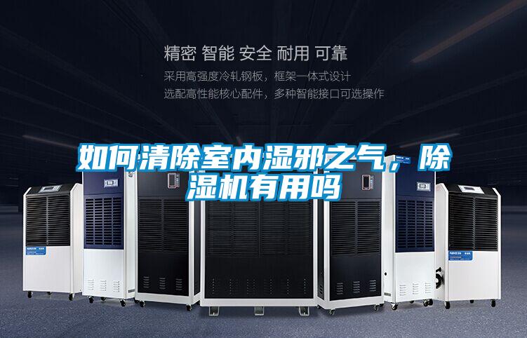 如何清除室內(nèi)濕邪之氣，除濕機(jī)有用嗎