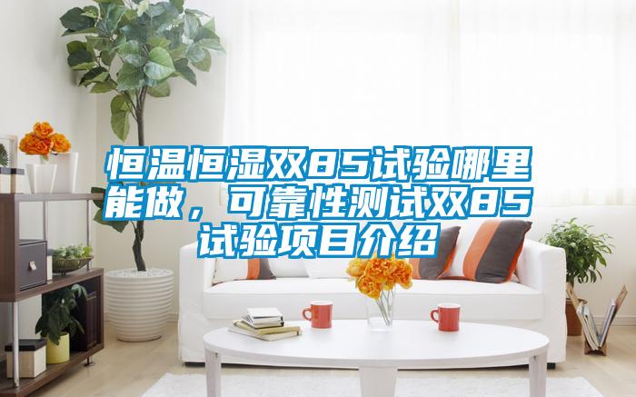 恒溫恒濕雙85試驗哪里能做，可靠性測試雙85試驗項目介紹