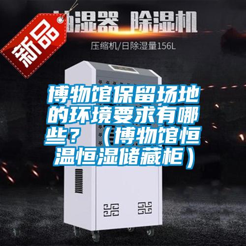 博物館保留場(chǎng)地的環(huán)境要求有哪些?(博物館恒溫恒濕儲(chǔ)藏柜)