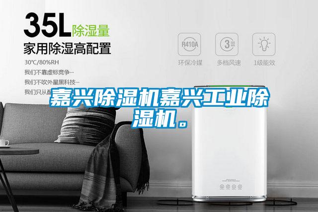 嘉興除濕機嘉興工業(yè)除濕機。