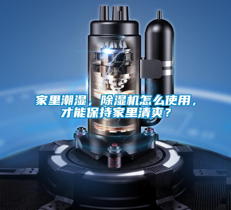 家里潮濕，除濕機怎么使用，才能保持家里清爽？