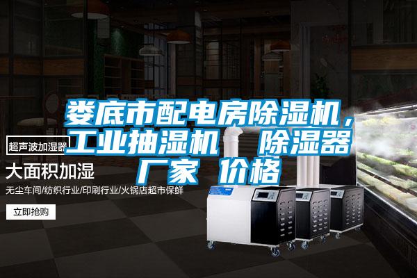 婁底市配電房除濕機,工業(yè)抽濕機 除濕器廠家 價格