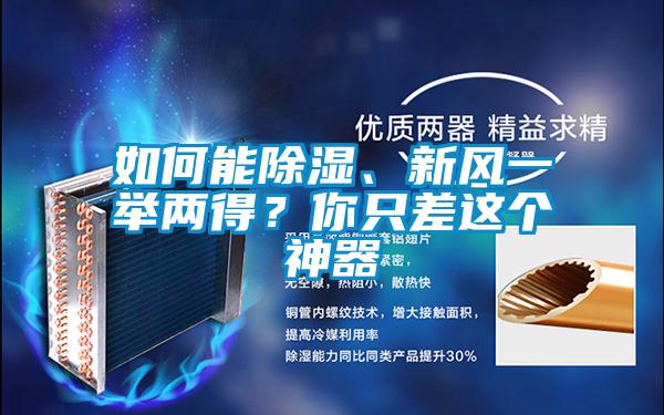 如何能除濕、新風一舉兩得?你只差這個神器