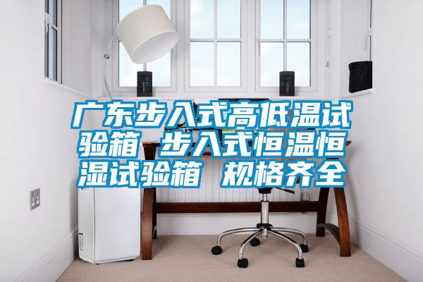 廣東步入式高低溫試驗(yàn)箱 步入式恒溫恒濕試驗(yàn)箱 規(guī)格齊全