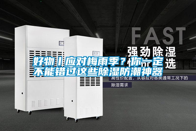 好物丨應對梅雨季?你一定不能錯過這些除濕防潮神器