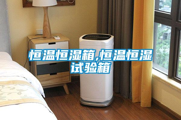 恒溫恒濕箱,恒溫恒濕試驗箱