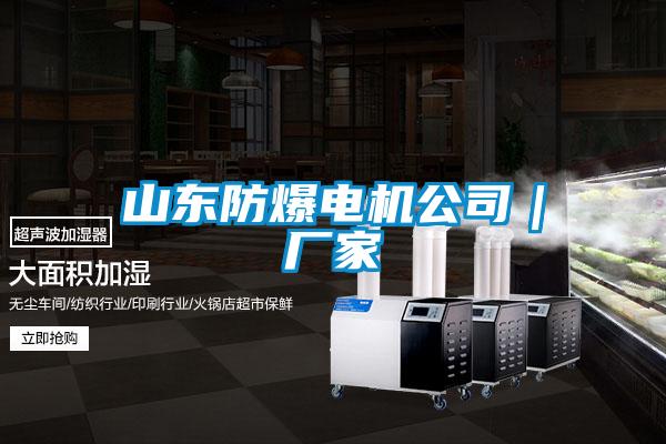 山東防爆電機(jī)公司|廠(chǎng)家