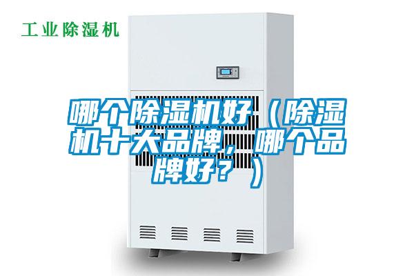 哪個除濕機好（除濕機十大品牌，哪個品牌好？）