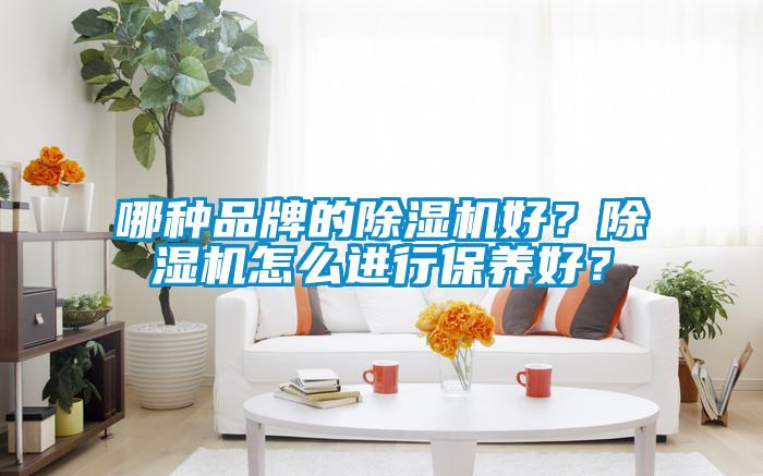 哪種品牌的除濕機(jī)好?除濕機(jī)怎么進(jìn)行保養(yǎng)好?