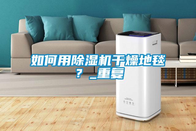 如何用除濕機干燥地毯？_重復(fù)
