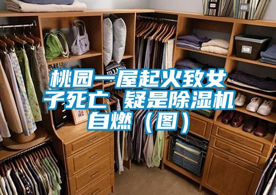 桃園一屋起火致女子死亡 疑是除濕機自燃(圖)