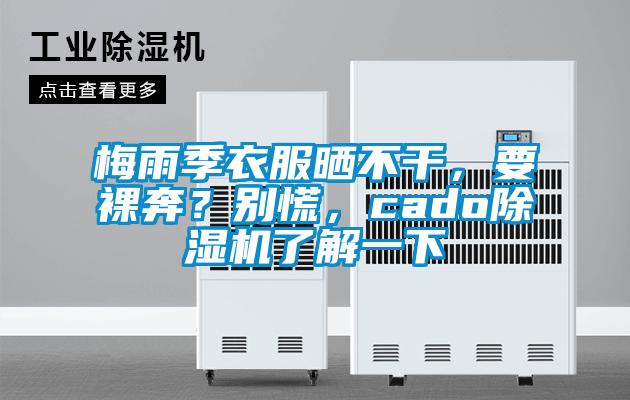 梅雨季衣服曬不干,要裸奔?別慌,cado除濕機了解一下