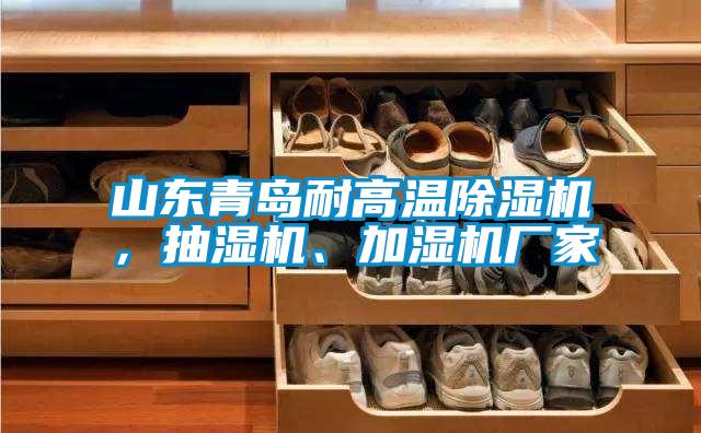 山東青島耐高溫除濕機，抽濕機、加濕機廠家