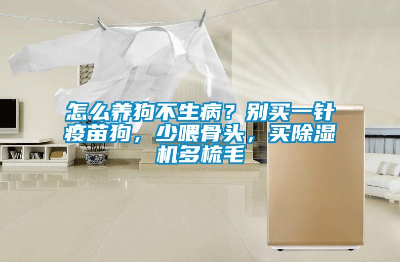 怎么養狗不生病？別買一針疫苗狗，少喂骨頭，買除濕機多梳毛