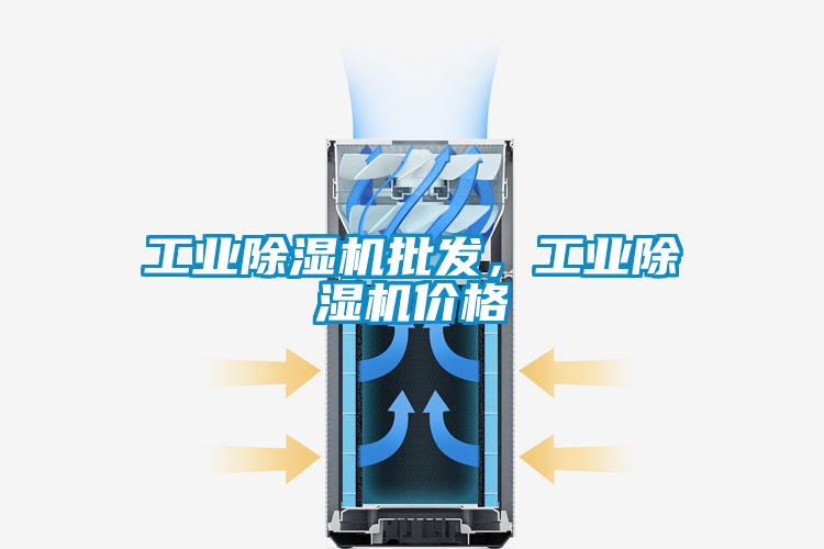 工業(yè)除濕機批發(fā),工業(yè)除濕機價格
