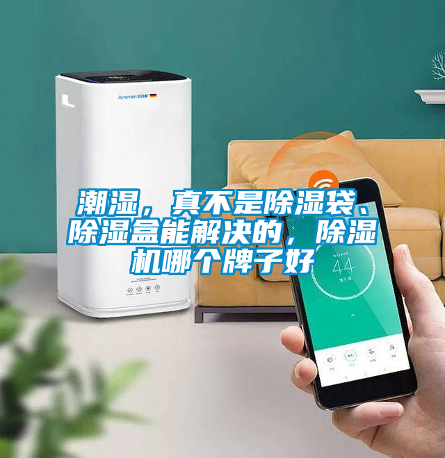 潮濕，真不是除濕袋、除濕盒能解決的，除濕機哪個牌子好