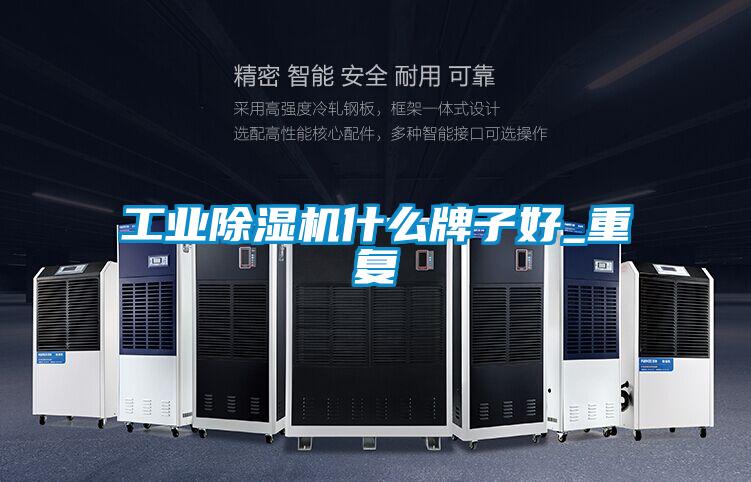 工業(yè)除濕機什么牌子好_重復