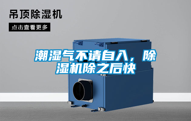 潮濕氣不請自入,除濕機除之后快