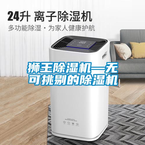 獅王除濕機(jī)—無(wú)可挑剔的除濕機(jī)