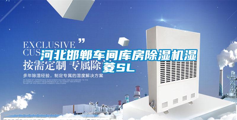 河北邯鄲車間庫(kù)房除濕機(jī)濕菱SL