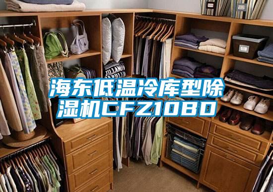 海東低溫冷庫型除濕機CFZ10BD
