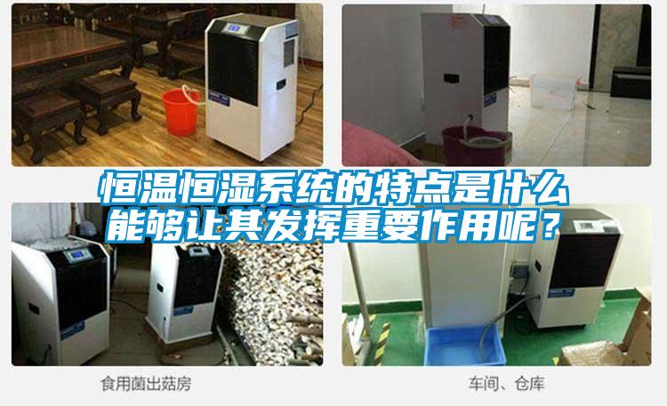 恒溫恒濕系統(tǒng)的特點(diǎn)是什么能夠讓其發(fā)揮重要作用呢？