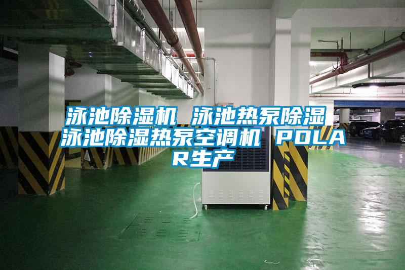 泳池除濕機 泳池熱泵除濕 泳池除濕熱泵空調機 POLAR生產