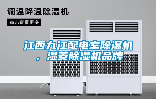 江西九江配電室除濕機(jī),濕菱除濕機(jī)品牌