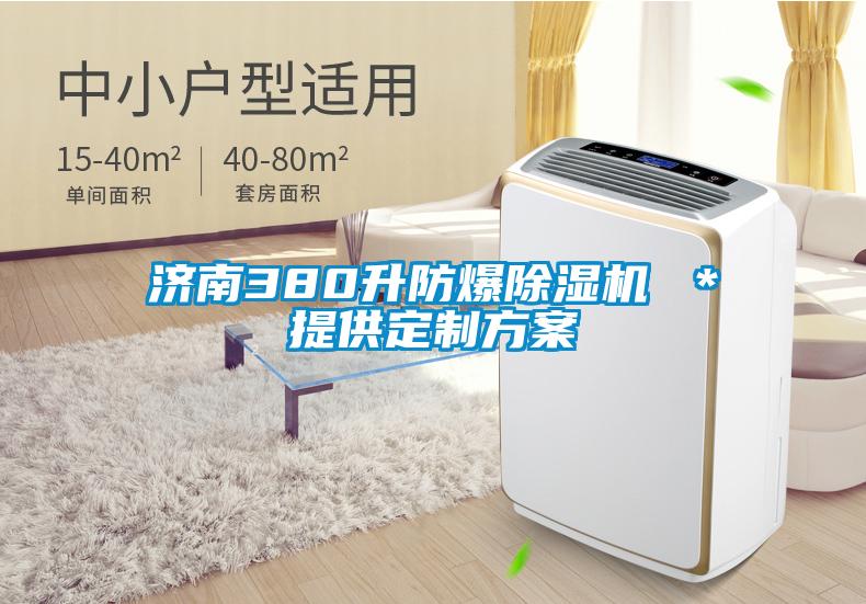 濟南380升防爆除濕機 *提供定制方案