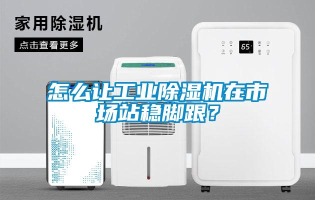 怎么讓工業(yè)除濕機在市場站穩(wěn)腳跟？