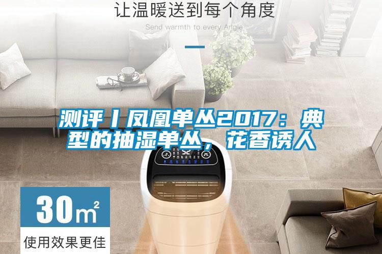 測(cè)評(píng)丨鳳凰單叢2017：典型的抽濕單叢，花香誘人