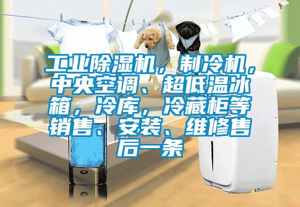 工業(yè)除濕機(jī)，制冷機(jī)，中央空調(diào)、超低溫冰箱，冷庫(kù)，冷藏柜等銷售、安裝、維修售后一條