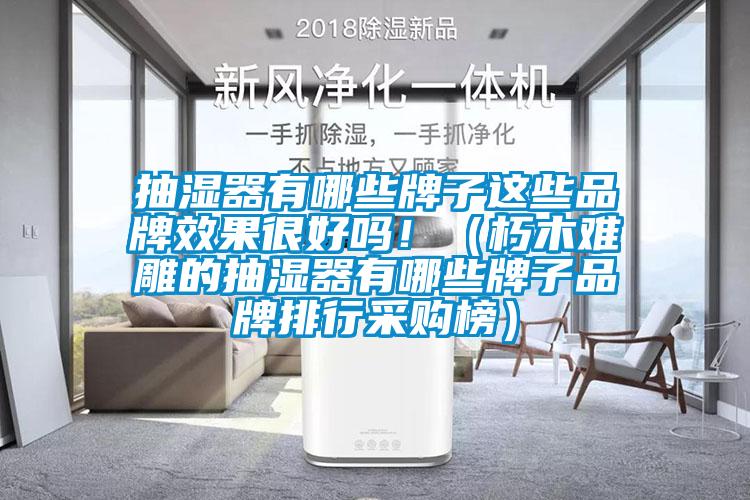 抽濕器有哪些牌子這些品牌效果很好嗎?。ㄐ嗄倦y雕的抽濕器有哪些牌子品牌排行采購榜）