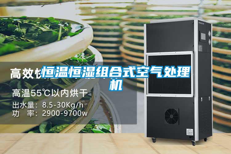 恒溫恒濕組合式空氣處理機