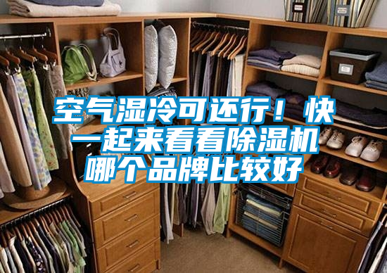 空氣濕冷可還行!快一起來看看除濕機哪個品牌比較好