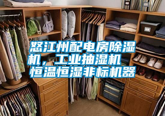 怒江州配電房除濕機(jī),工業(yè)抽濕機(jī) 恒溫恒濕非標(biāo)機(jī)器