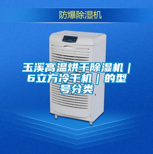 玉溪高溫烘干除濕機(jī)|6立方冷干機(jī)|的型號(hào)分類(lèi)