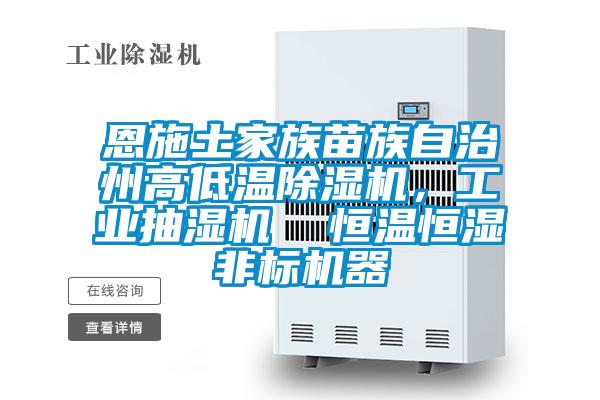 恩施土家族苗族自治州高低溫除濕機(jī)，工業(yè)抽濕機(jī)  恒溫恒濕非標(biāo)機(jī)器