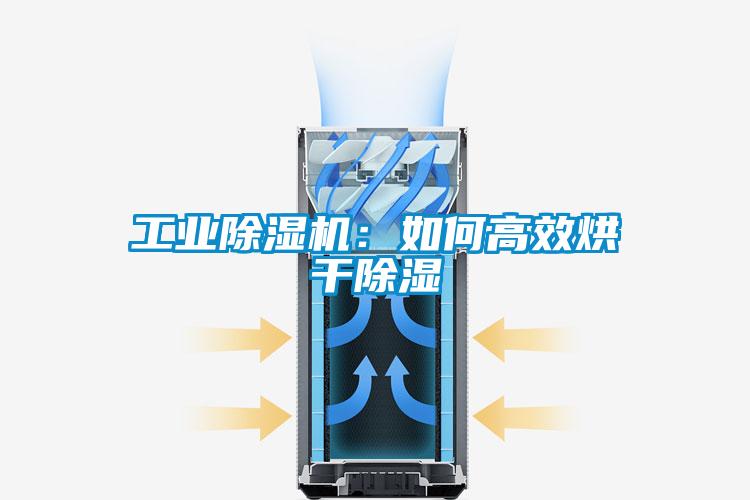 工業(yè)除濕機：如何高效烘干除濕