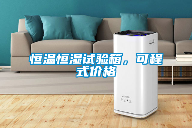 恒溫恒濕試驗(yàn)箱,可程式價格