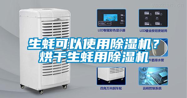 生蠔可以使用除濕機?烘干生蠔用除濕機