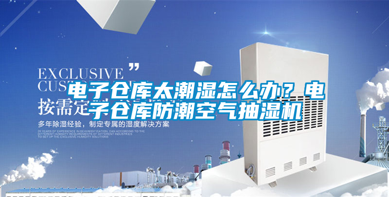 電子倉庫太潮濕怎么辦？電子倉庫防潮空氣抽濕機