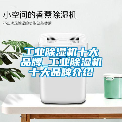 工業(yè)除濕機十大品牌_工業(yè)除濕機十大品牌介紹