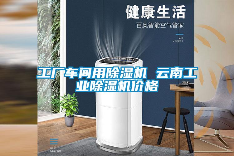 工廠車間用除濕機 云南工業除濕機價格