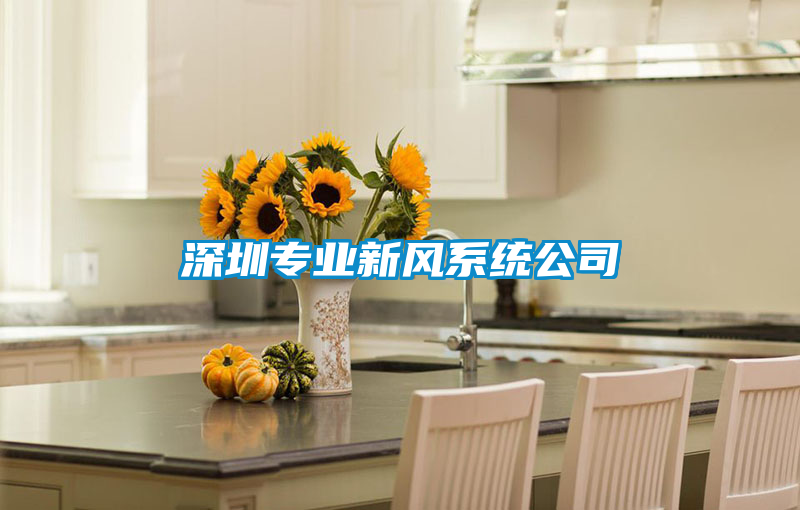 深圳專(zhuān)業(yè)新風(fēng)系統(tǒng)公司