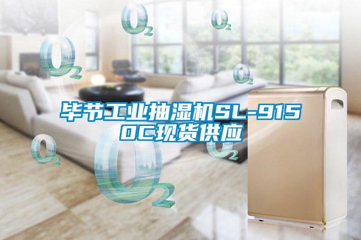 畢節工業抽濕機SL-9150C現貨供應