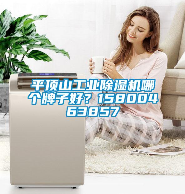 平頂山工業(yè)除濕機哪個牌子好?15800463857