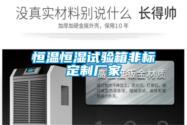 恒溫恒濕試驗箱非標(biāo)定制廠家